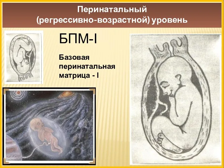 Перинатальный (регрессивно-возрастной) уровень БПМ-I Базовая перинатальная матрица - I