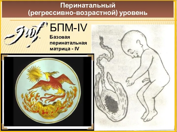 Перинатальный (регрессивно-возрастной) уровень БПМ-IV Базовая перинатальная матрица - IV