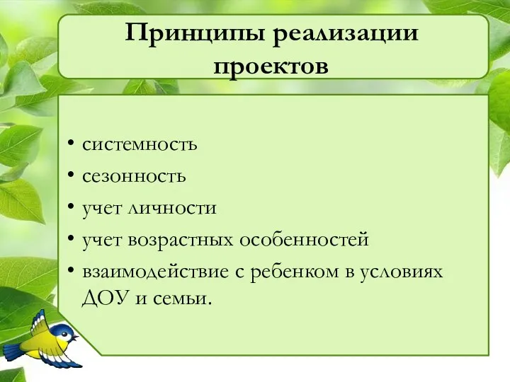 Принципы реализации проектов системность сезонность учет личности учет возрастных особенностей