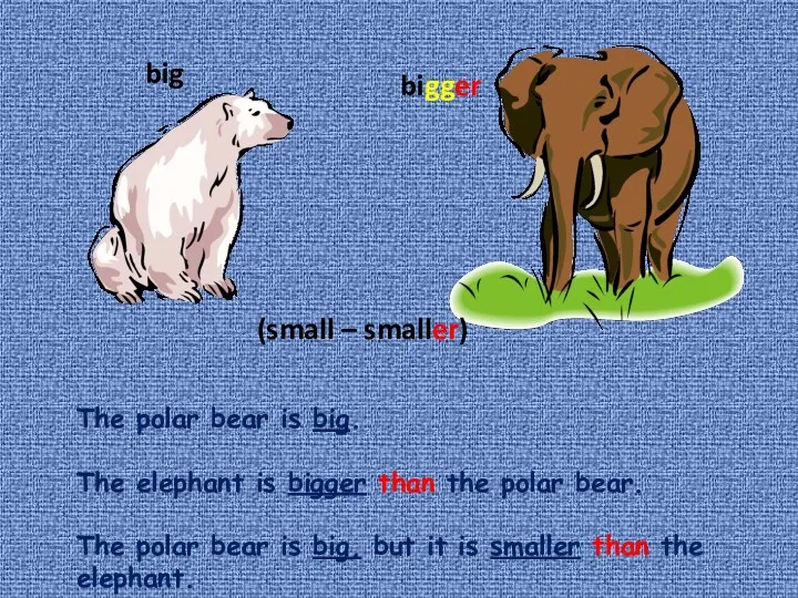 big bigger (small – smaller) The polar bear is big.