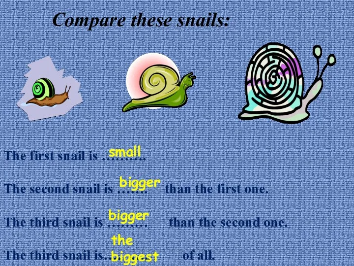 Compare these snails: The first snail is ………. The second