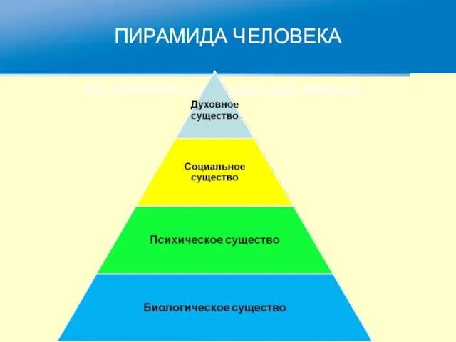 ПИРАМИДА ЧЕЛОВЕКА Как обеспечить максимальное влияние…