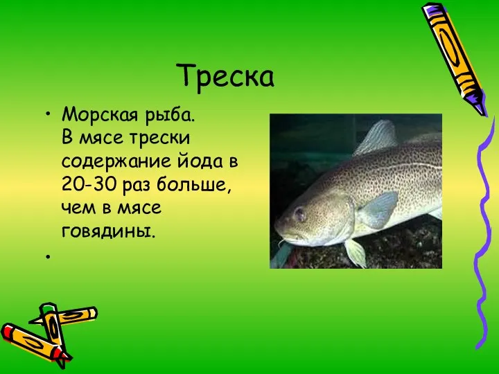 Треска Морская рыба. В мясе трески содержание йода в 20-30 раз больше, чем в мясе говядины.