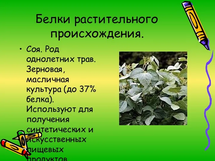 Белки растительного происхождения. Соя. Род однолетних трав. Зерновая, масличная культура