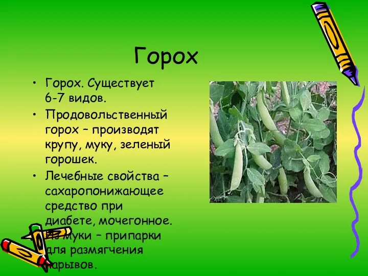 Горох Горох. Существует 6-7 видов. Продовольственный горох – производят крупу,