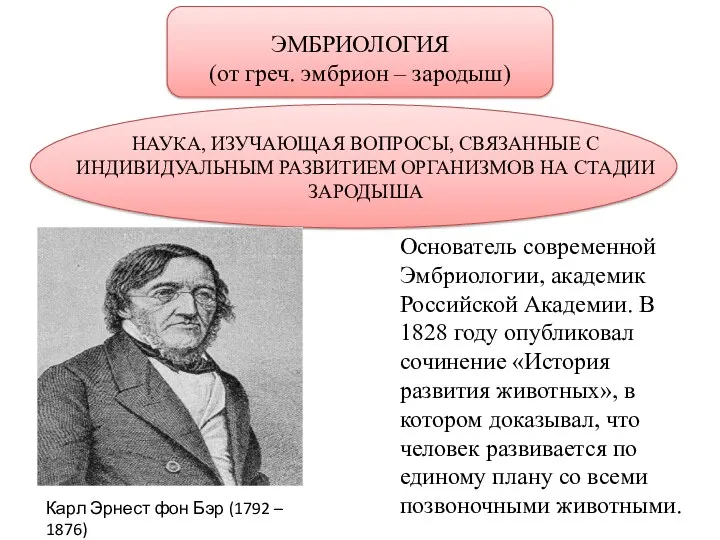 ЭМБРИОЛОГИЯ (от греч. эмбрион – зародыш) НАУКА, ИЗУЧАЮЩАЯ ВОПРОСЫ, СВЯЗАННЫЕ