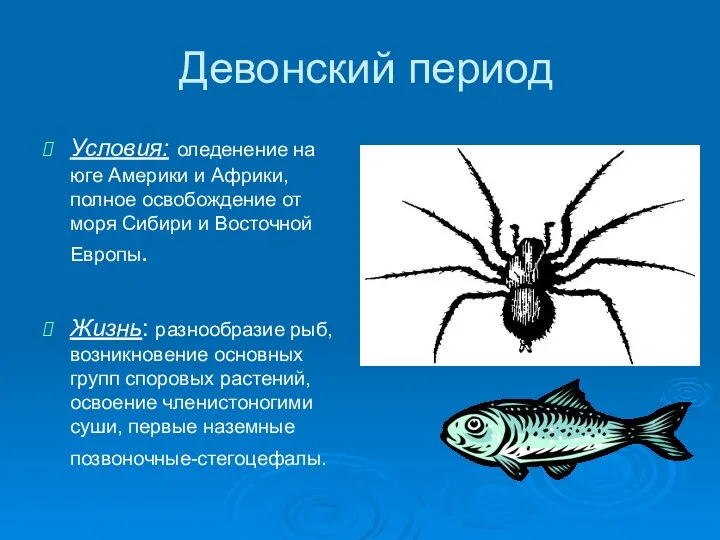 Девонский период Условия: оледенение на юге Америки и Африки, полное