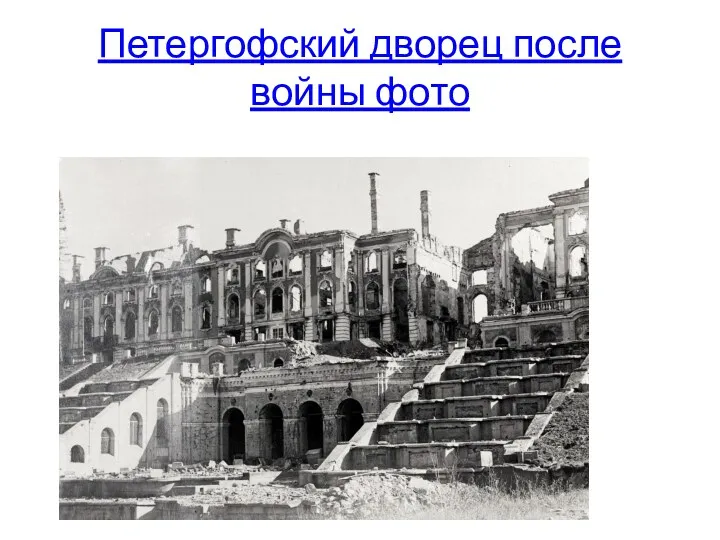 Петергофский дворец после войны фото
