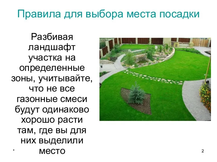 * Правила для выбора места посадки Разбивая ландшафт участка на