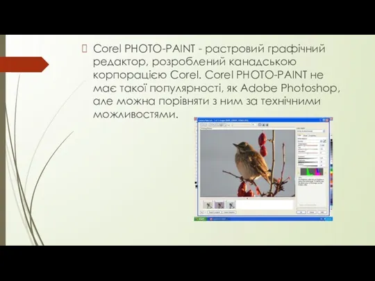 Corel PHOTO-PAINT - растровий графічний редактор, розроблений канадською корпорацією Corel.