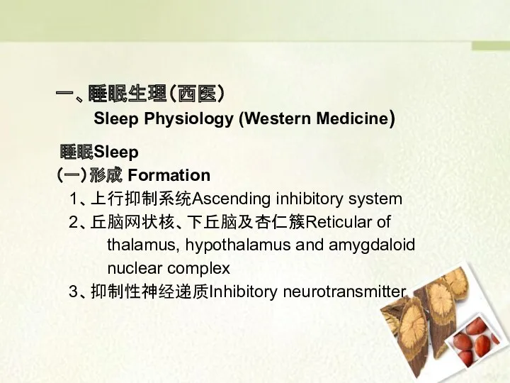 睡眠Sleep （一）形成 Formation 1、上行抑制系统Ascending inhibitory system 2、丘脑网状核、下丘脑及杏仁簇Reticular of thalamus, hypothalamus