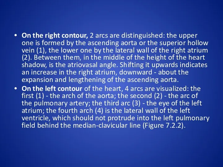 On the right contour, 2 arcs are distinguished: the upper