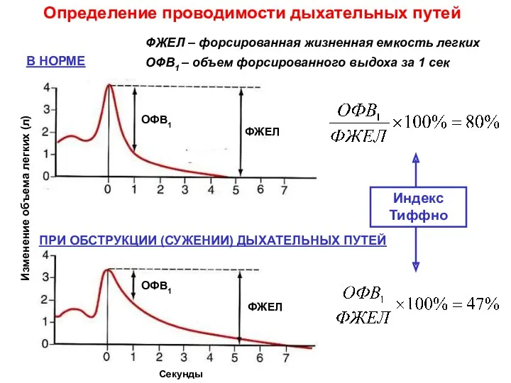 Определение проводимости дыхательных путей В НОРМЕ ПРИ ОБСТРУКЦИИ (СУЖЕНИИ) ДЫХАТЕЛЬНЫХ