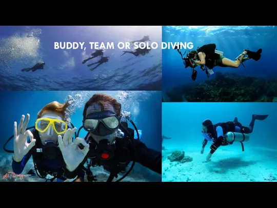 BUDDY, TEAM OR SOLO DIVING
