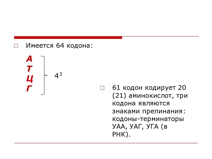 Имеется 64 кодона: 61 кодон кодирует 20 (21) аминокислот, три