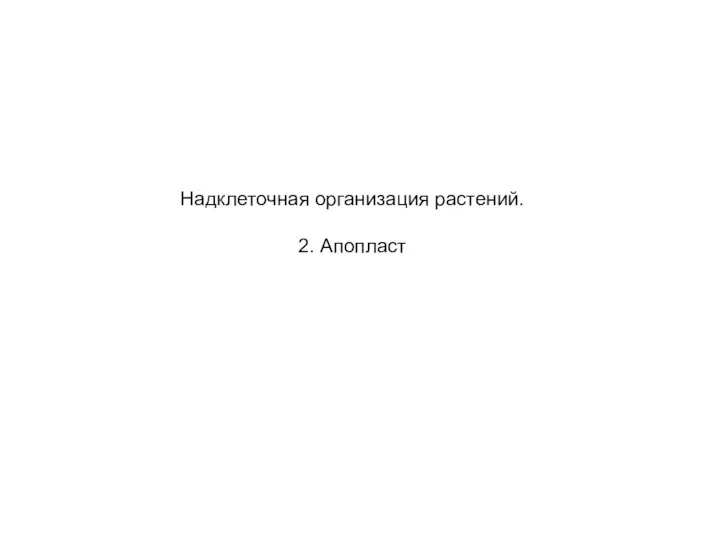 Надклеточная организация растений. 2. Апопласт