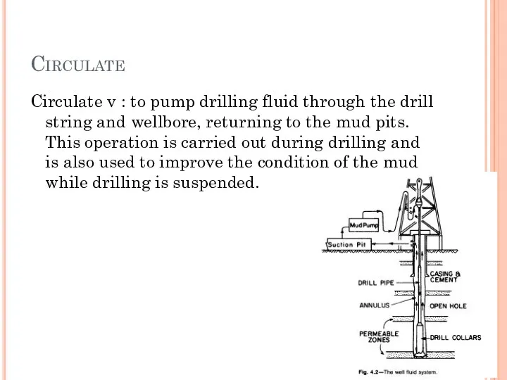 Circulate Circulate v : to pump drilling fluid through the drill string and