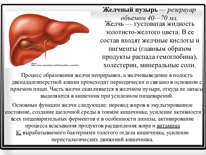 Желчный пузырь — резервуар объемом 40—70 мл. Желчь — густоватая