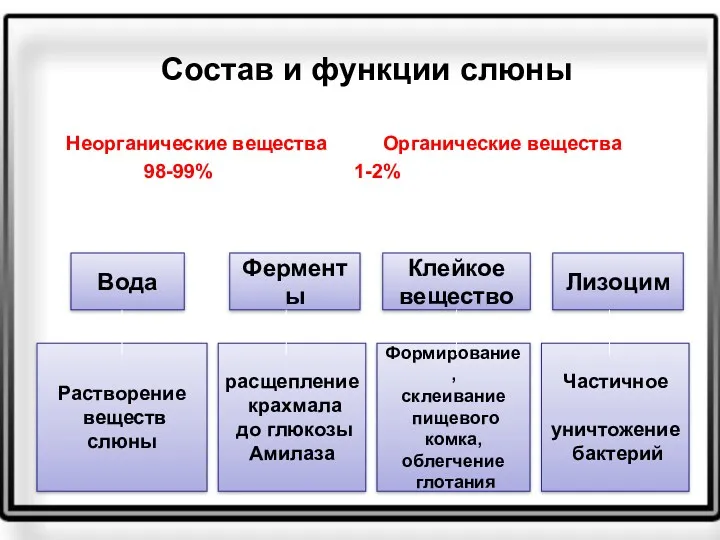 Состав и функции слюны Неорганические вещества Органические вещества 98-99% 1-2%