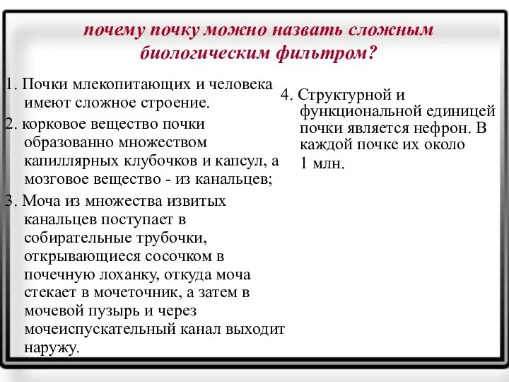 почему почку можно назвать сложным биологическим фильтром? 1. Почки млекопитающих