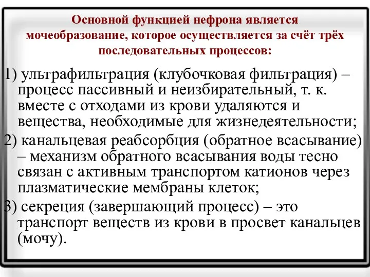 Основной функцией нефрона является мочеобразование, которое осуществляется за счёт трёх