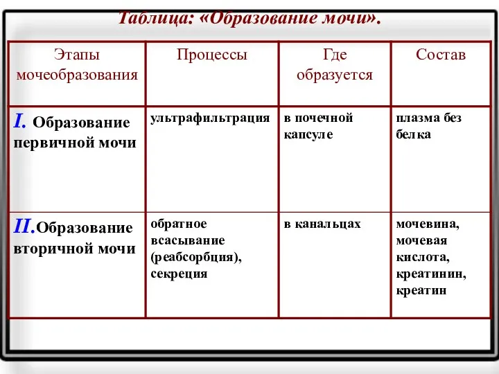 Таблица: «Образование мочи».