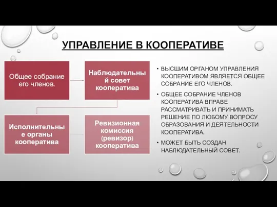 УПРАВЛЕНИЕ В КООПЕРАТИВЕ ВЫСШИМ ОРГАНОМ УПРАВЛЕНИЯ КООПЕРАТИВОМ ЯВЛЯЕТСЯ ОБЩЕЕ СОБРАНИЕ