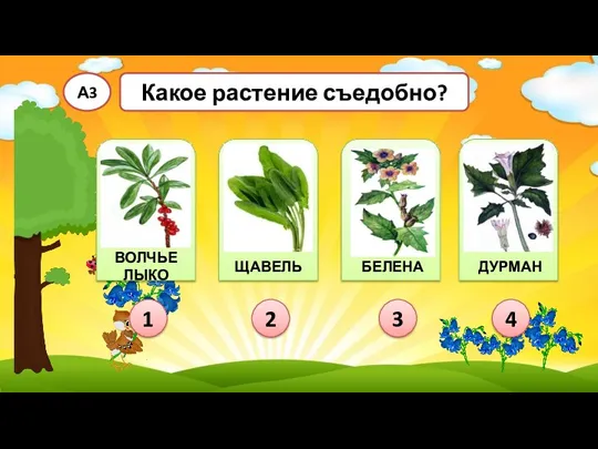 1 Какое растение съедобно? А3 3 4 2