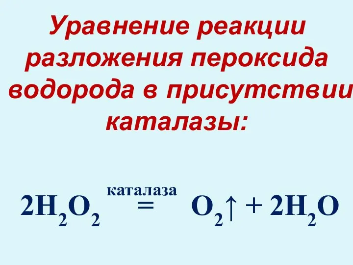 2H2O2 = O2↑ + 2H2O Уравнение реакции разложения пероксида водорода в присутствии каталазы: каталаза