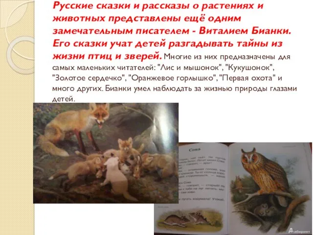 Русские сказки и рассказы о растениях и животных представлены ещё одним замечательным писателем