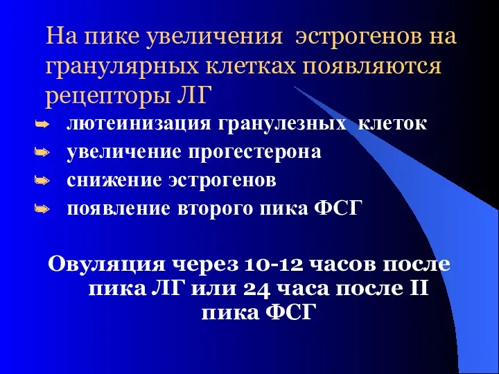 На пике увеличения эстрогенов на гранулярных клетках появляются рецепторы ЛГ