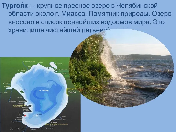 Тургоя́к — крупное пресное озеро в Челябинской области около г.