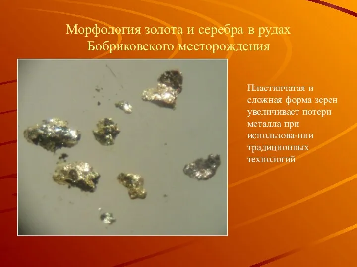 Морфология золота и серебра в рудах Бобриковского месторождения Пластинчатая и