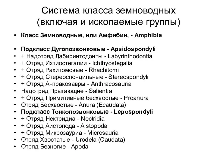 Система класса земноводных (включая и ископаемые группы) Класс Земноводные, или