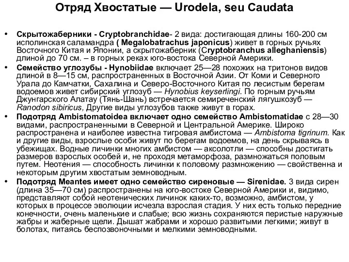 Отряд Хвостатые — Urodela, seu Caudata Скрытожаберники - Сryptobranchidae- 2