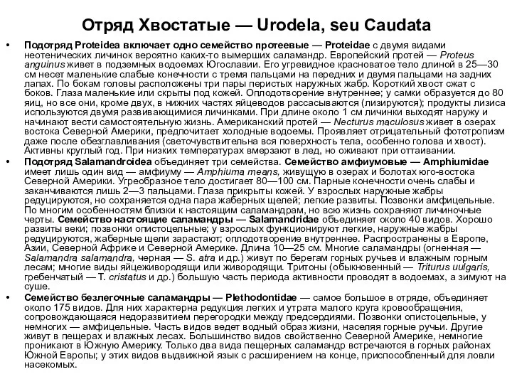 Отряд Хвостатые — Urodela, seu Caudata Подотряд Proteidea включает одно