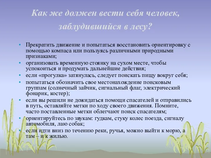 Как же должен вести себя человек, заблудившийся в лесу? Прекратить