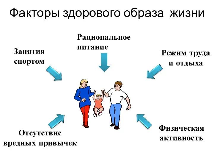 Факторы здорового образа жизни Рациональное питание Отсутствие вредных привычек Режим