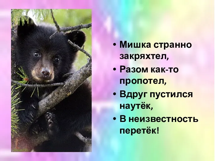 Мишка странно закряхтел, Разом как-то пропотел, Вдруг пустился наутёк, В неизвестность перетёк!