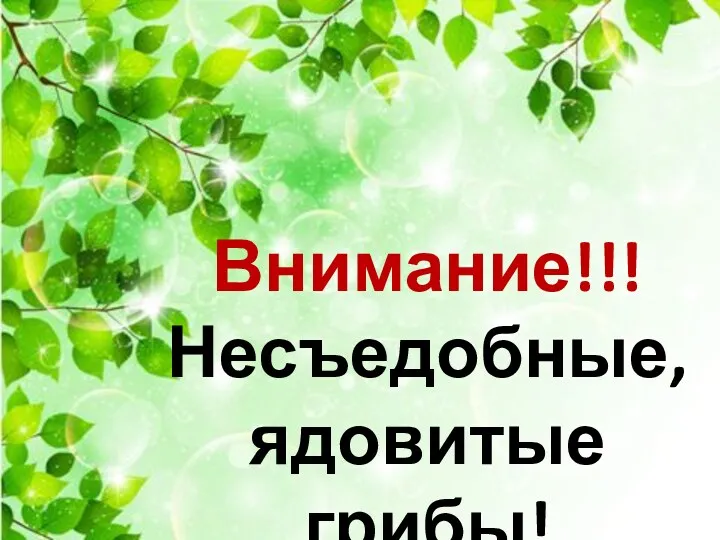 Внимание!!! Несъедобные, ядовитые грибы!