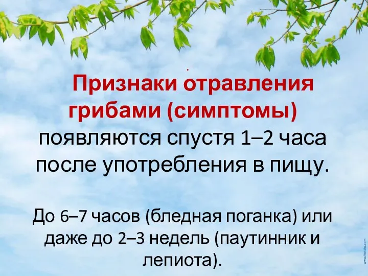 . Признаки отравления грибами (симптомы) появляются спустя 1–2 часа после