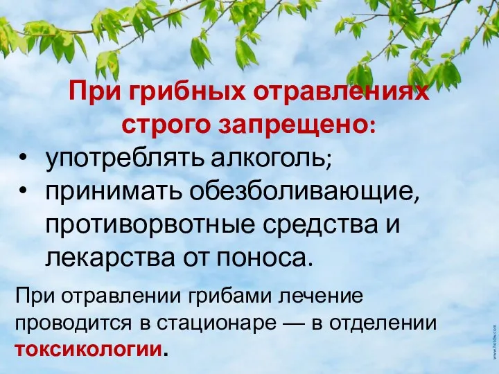 При отравлении грибами лечение проводится в стационаре — в отделении