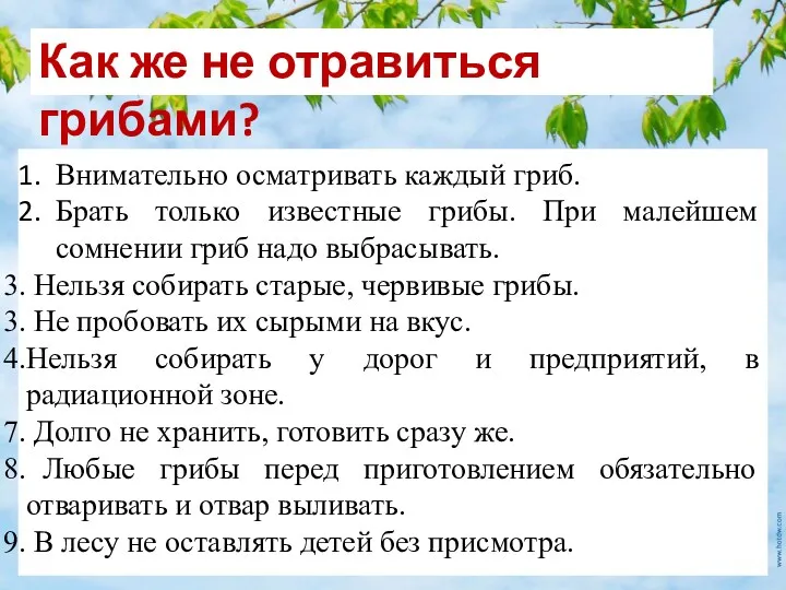 Как же не отравиться грибами? Внимательно осматривать каждый гриб. Брать