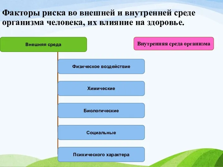 Факторы риска во внешней и внутренней среде организма человека, их влияние на здоровье. Внутренняя среда организма