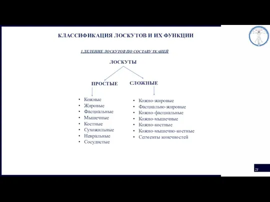 КЛАССИФИКАЦИЯ ЛОСКУТОВ И ИХ ФУНКЦИИ 1.ДЕЛЕНИЕ ЛОСКУТОВ ПО СОСТАВУ ТКАНЕЙ