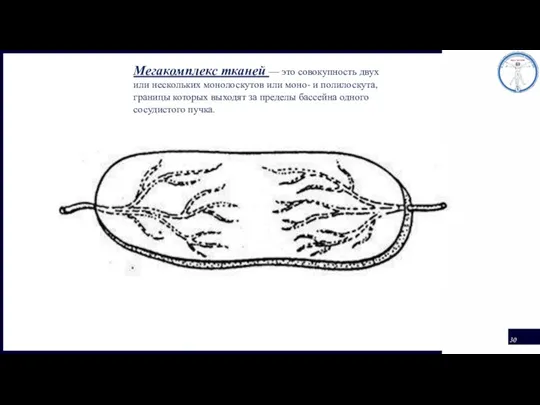 Мегакомплекс тканей — это совокупность двух или нескольких монолоскутов или