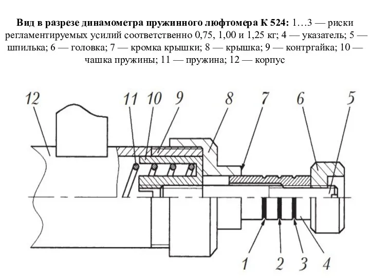 Вид в разрезе динамометра пружинного люфтомера К 524: 1…3 —