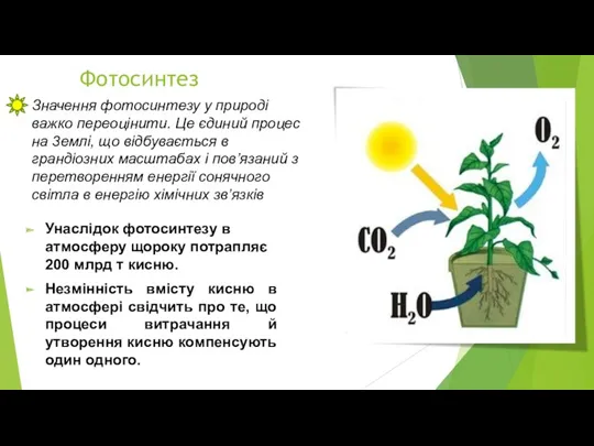 Унаслідок фотосинтезу в атмосферу щороку потрапляє 200 млрд т кисню.