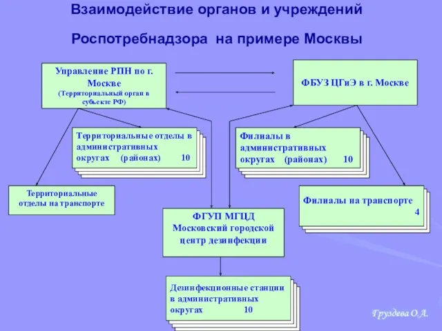 Взаимодействие органов и учреждений Роспотребнадзора на примере Москвы