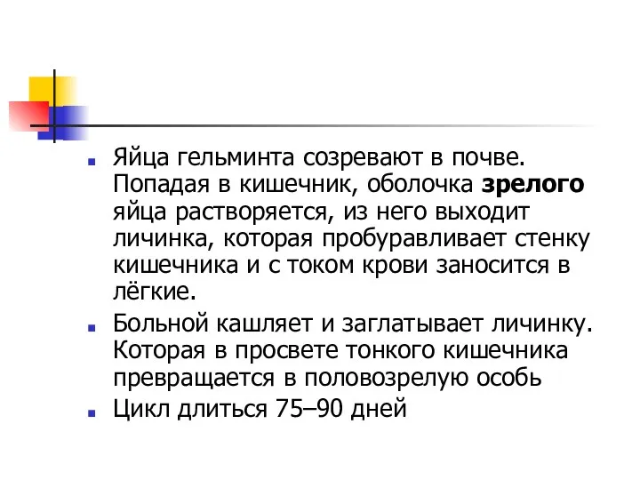 Яйца гельминта созревают в почве. Попадая в кишечник, оболочка зрелого